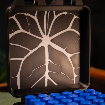 Limited Run - Pollen Freezer Organizer - Hybridizer Edition