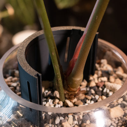 The Best Pot Extender - Black