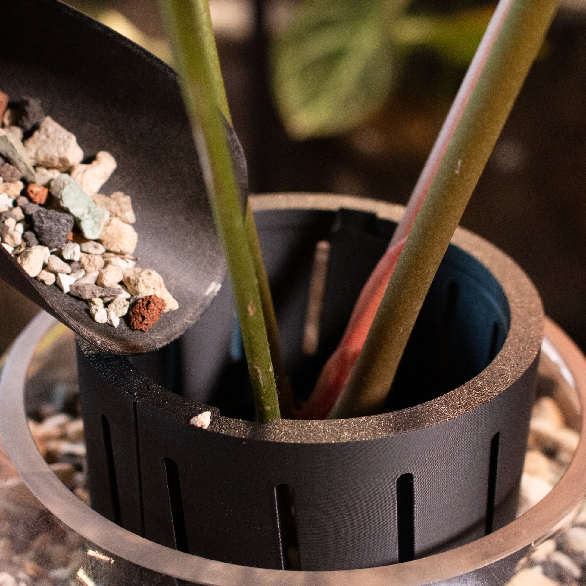 plant pot extender The Best Pot Extender – Rooted on the Peaks